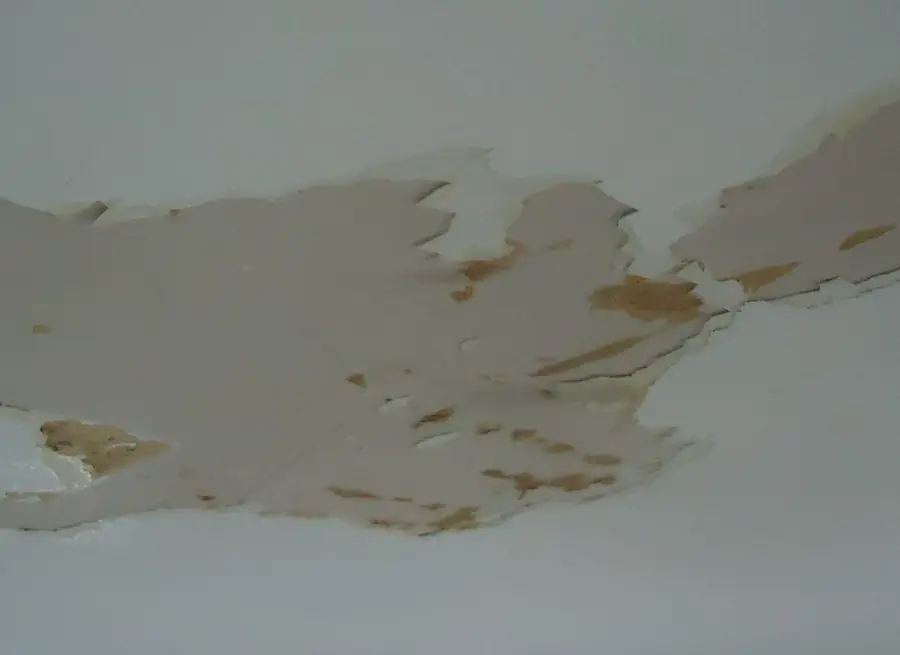 Ceiling drywall with peeling paint from an old water leak