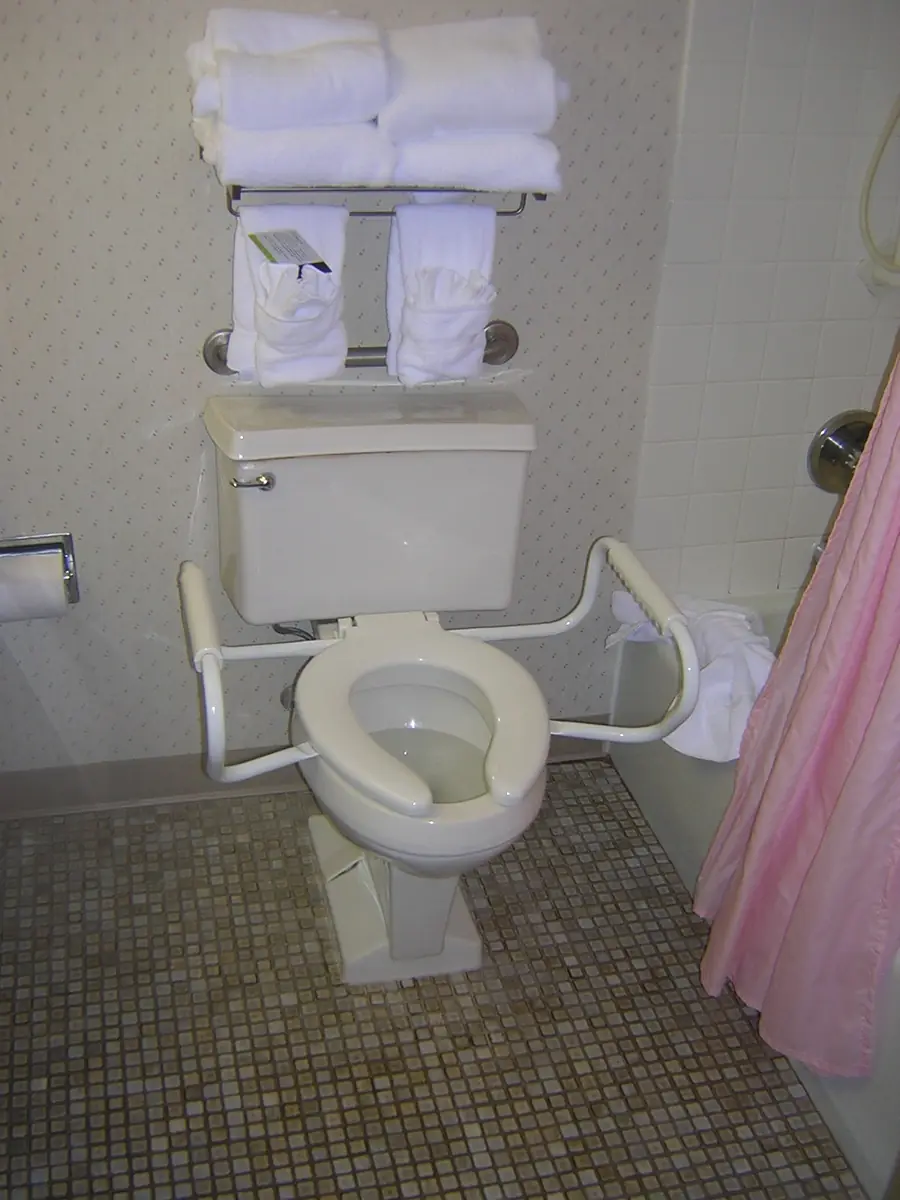 Toilet with grab bars mounted on the side and back walls