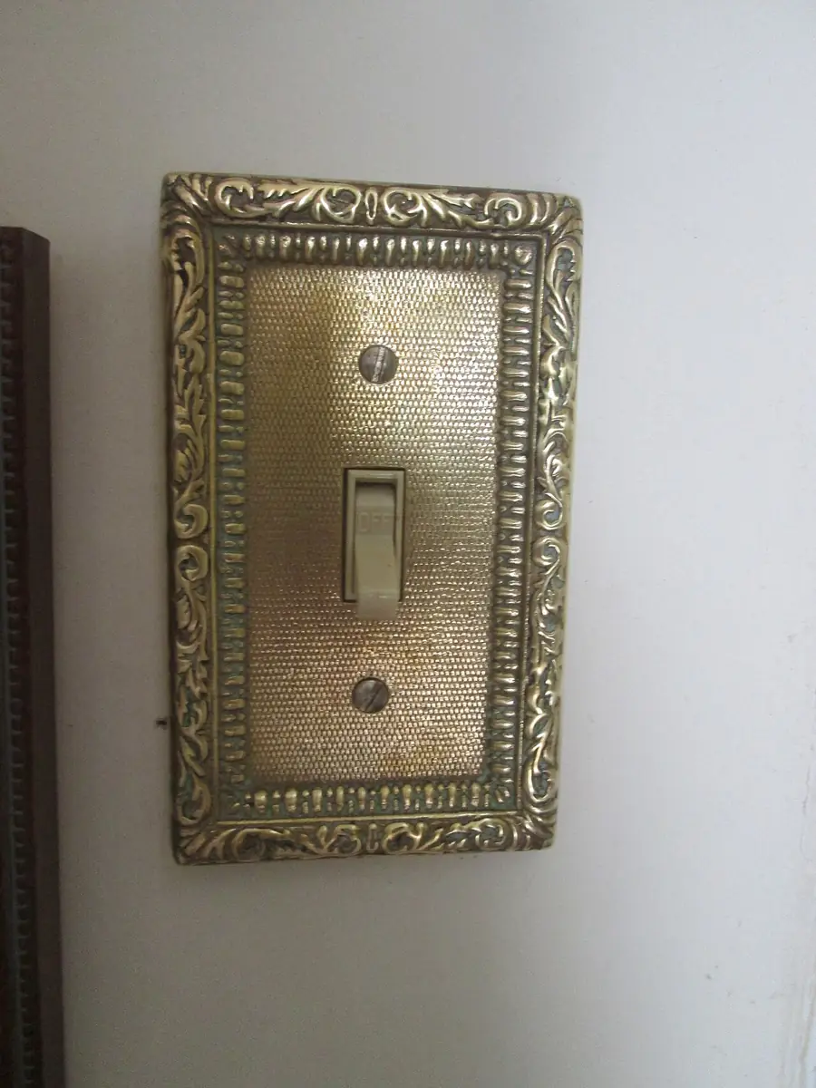Ornate brass switch plate on a painted wall