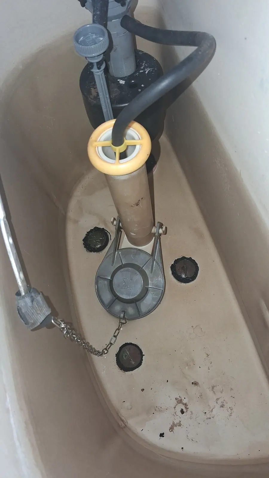 Bottom of a toilet tank showing the flush valve seat and fill valve