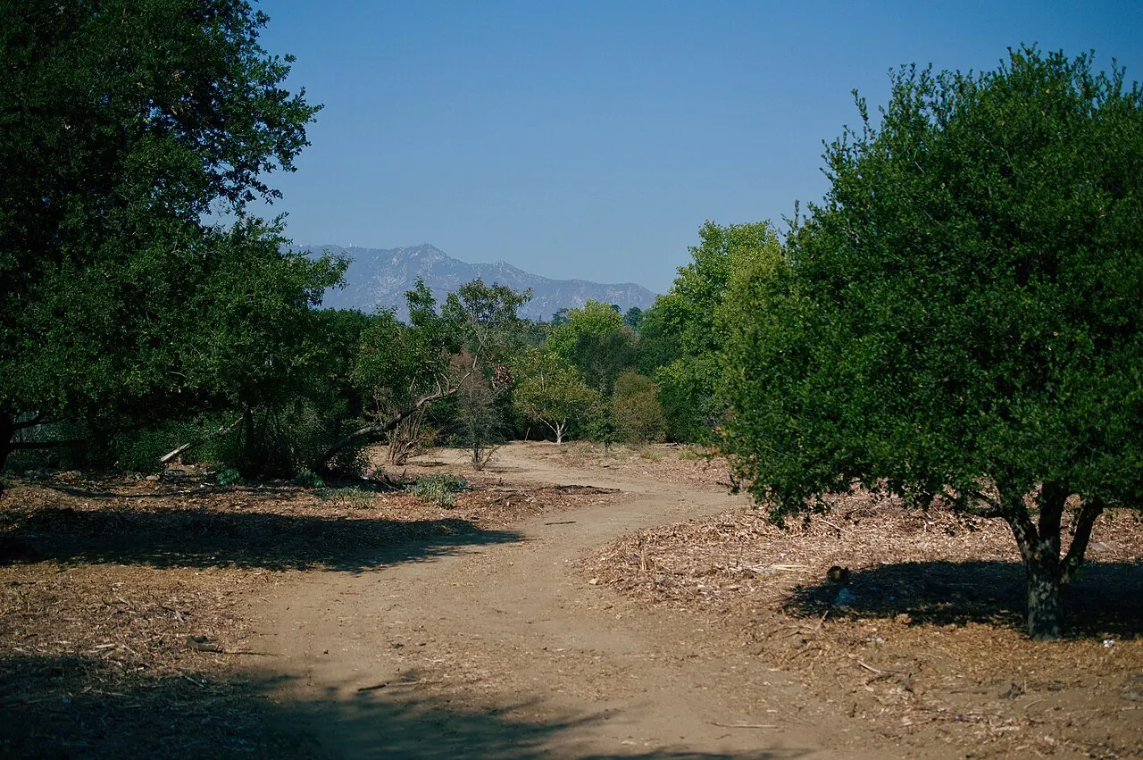 Arroyo Seco channel and trees in Los Angeles