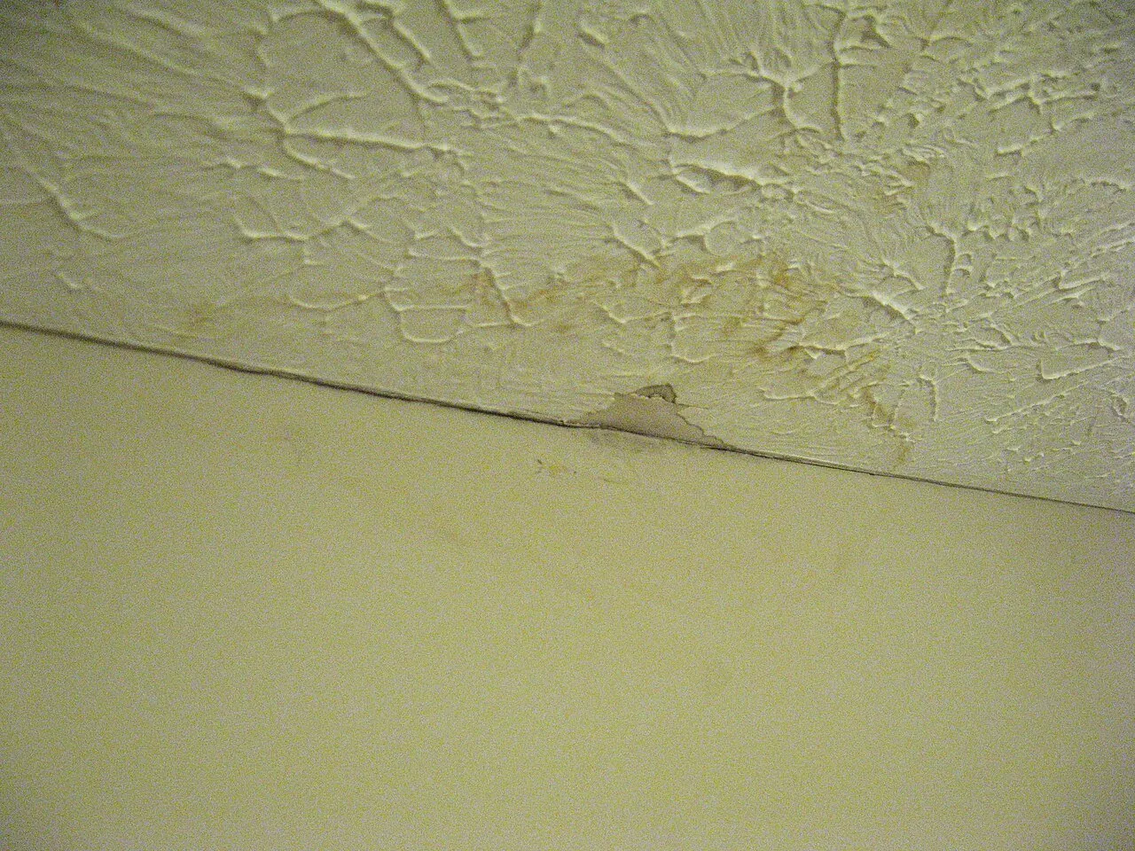Water stain on a ceiling from a roof leak