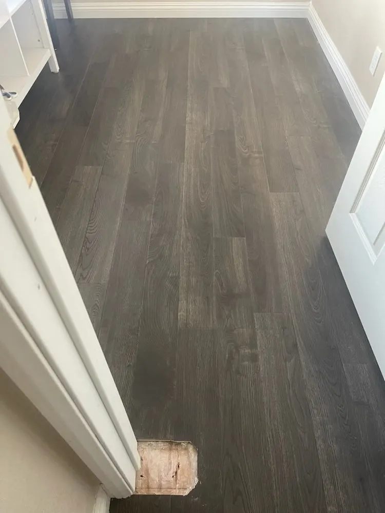 Door casing and baseboard at the edge of a dark plank floor